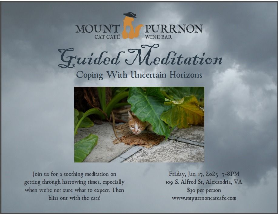 Guided Meditation with Cats: Coping with Uncertain Horizons