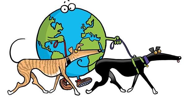 Great Global Greyhound Walk - Stroud