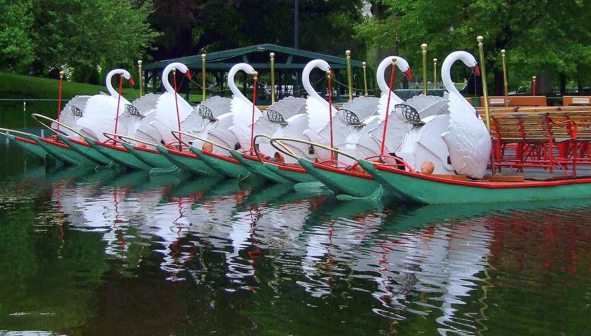 Parking Swan Lake - Boston