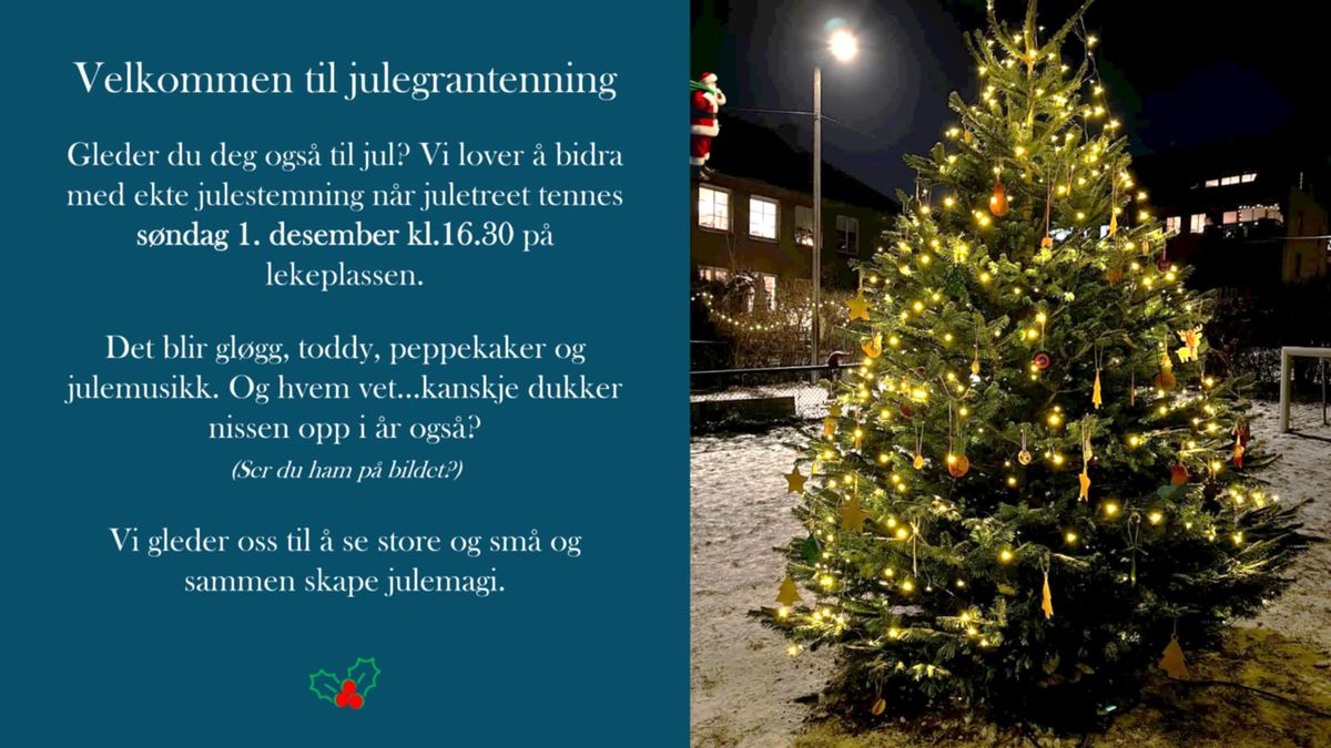 Julegrantenning p\u00e5 Malerhaugen