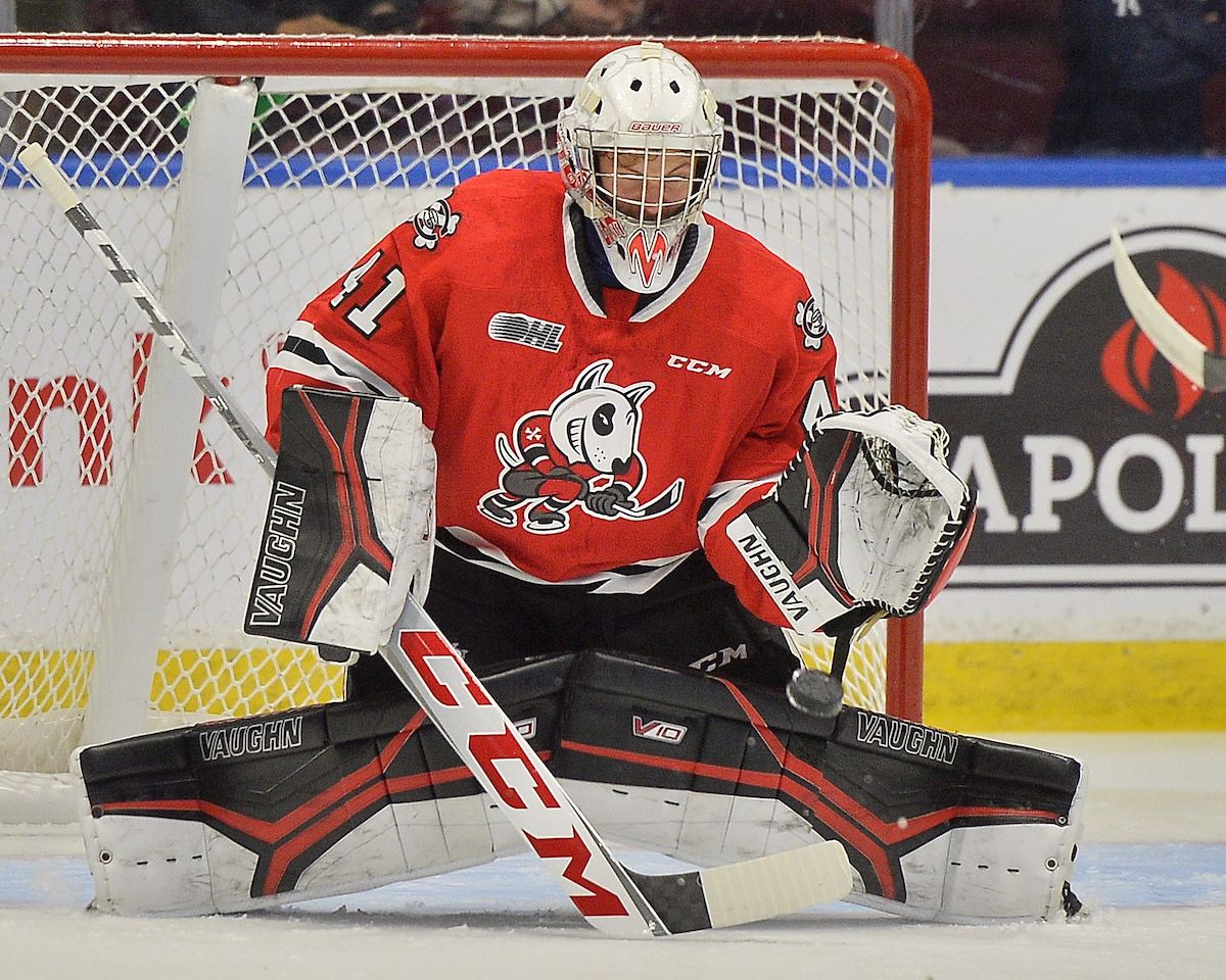 Sudbury Wolves at Niagara IceDogs