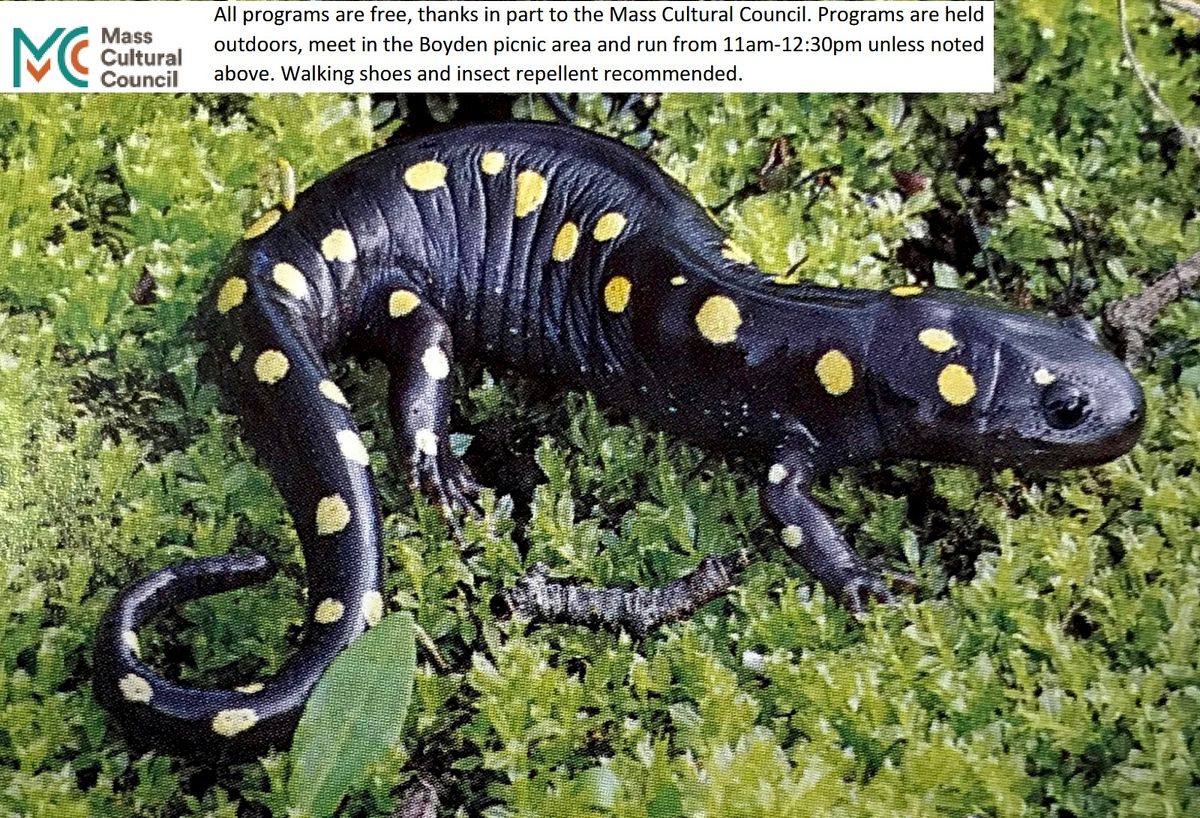 FREE EVENT: Salamander Search Party