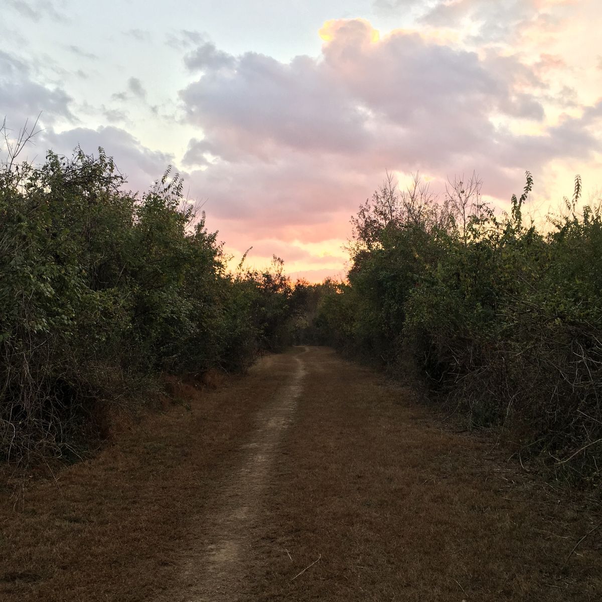 Autumn Sunset-Moonrise Hike