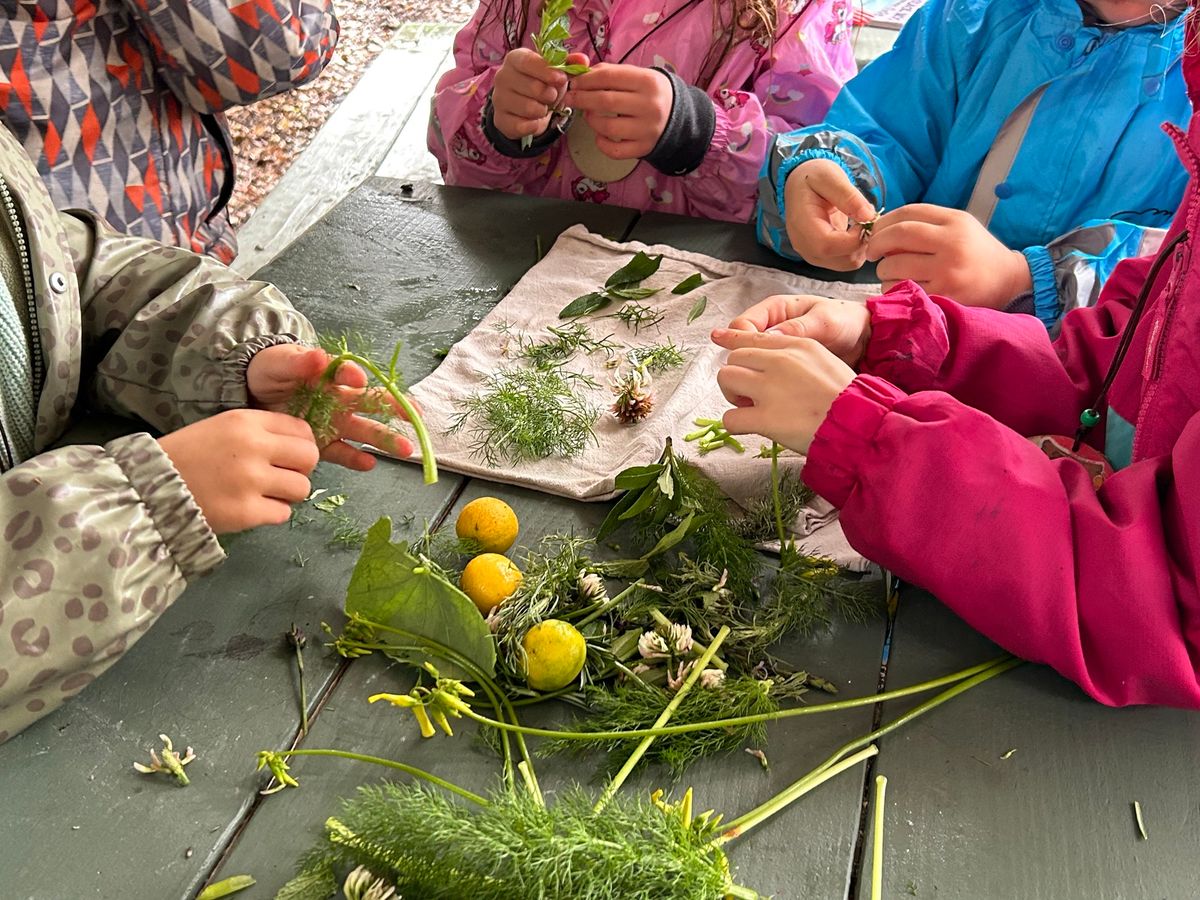 Summer Camp on The Farm: Nature's Bounty