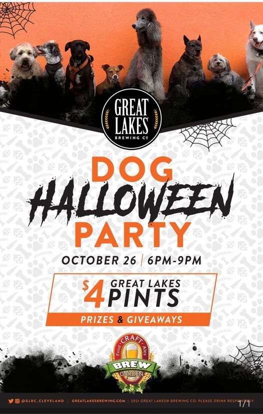 A Howlin Dog Halloween Pet Costume Party Brew Garden Strongsville 26 October 2021