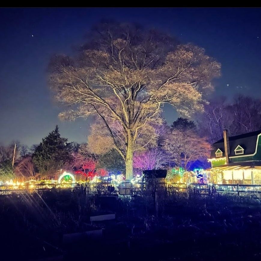 North Pole Lights Walk 