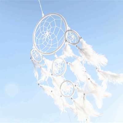 National Indigenous Connectivity Initiative