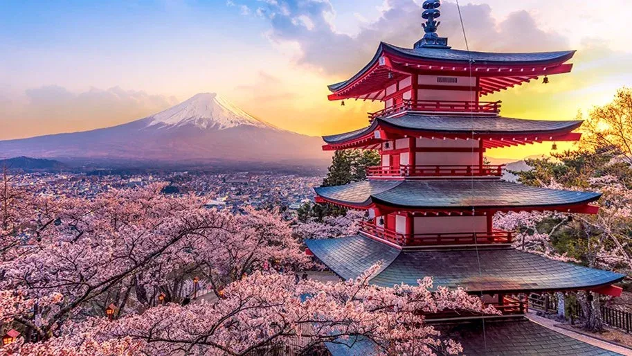 Cherry Blossoms in Japan! The Golden Triangle - Tokyo, Kyoto, Osaka and more!