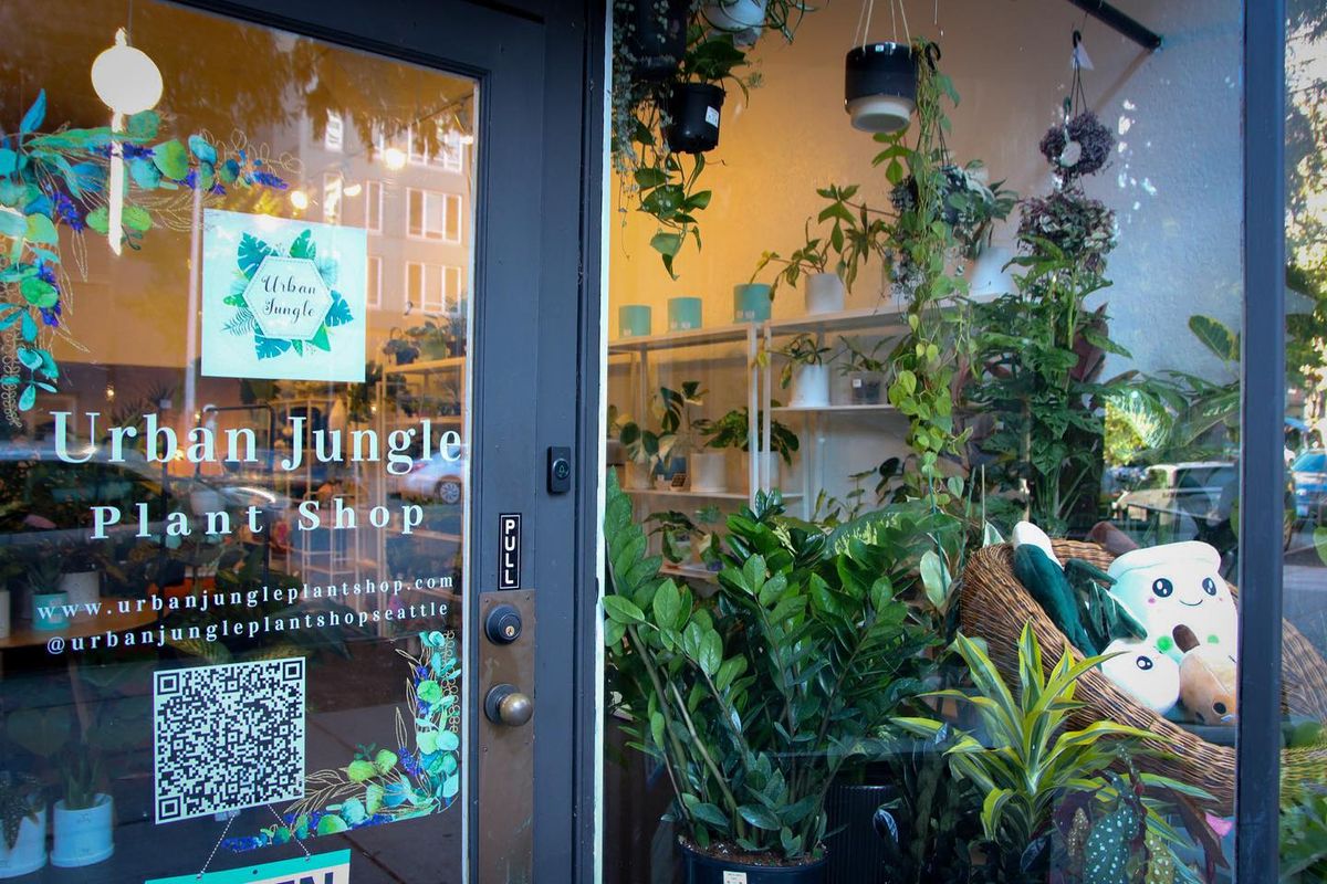 Free Plants and Swag Bags Giveaway to celebrate Urban Jungle\u2019s First Anniversary