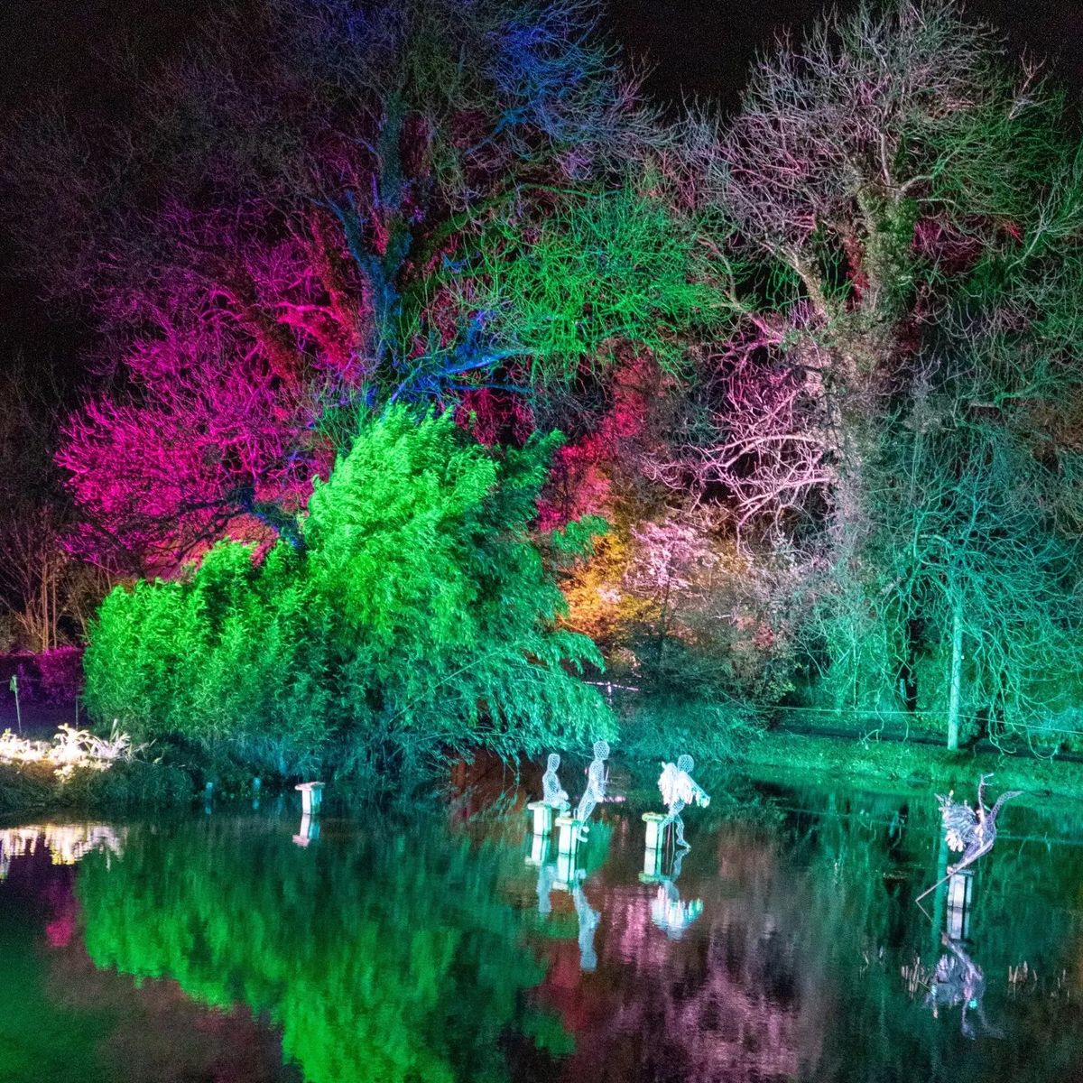 Loughcrew Light Show