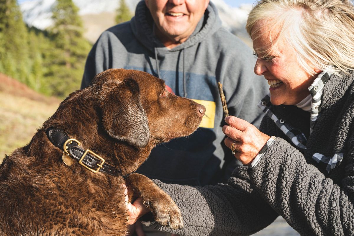 February social walk