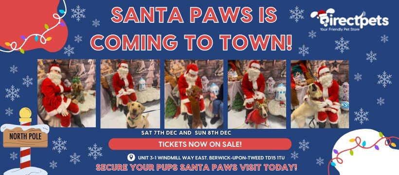 Santa Paws Pet Grotto 