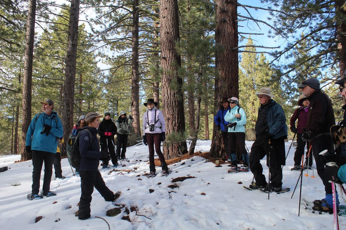 Winter Wildlife Survival Snowshoe Hike with TINS