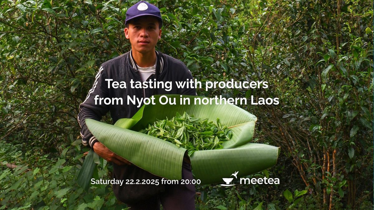 Tea tasting with producers from Nyot Ou in northern Laos