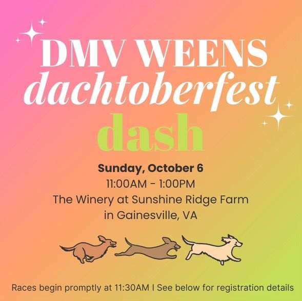 Dachtoberfest Dash