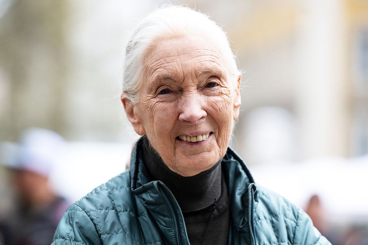 Jane Goodall