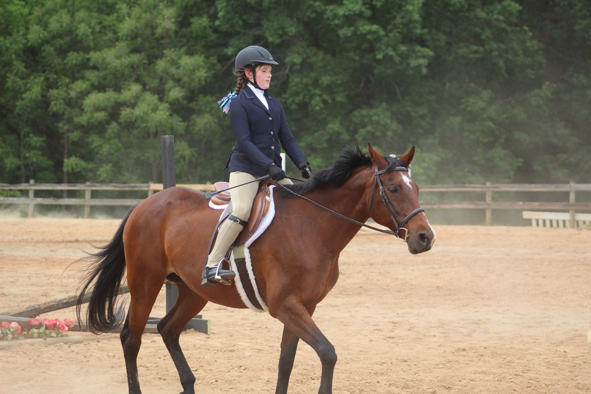 Enlightened Equestrian AAHJA Show