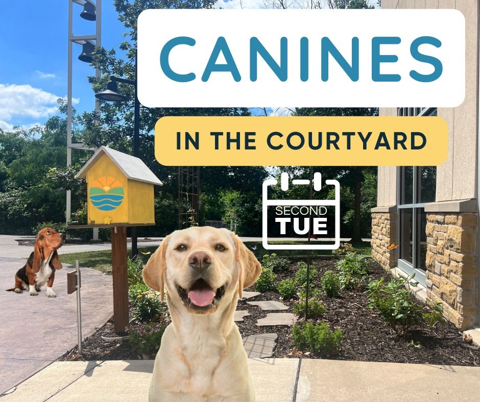 Canines in the Courtyard