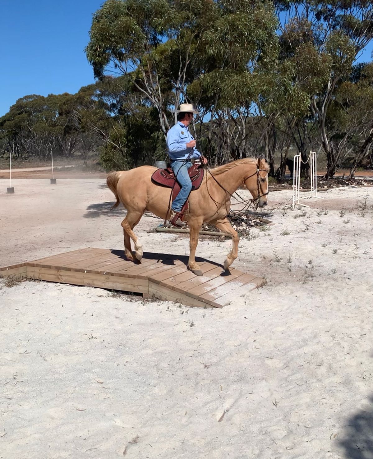 Working Equitation Clinic