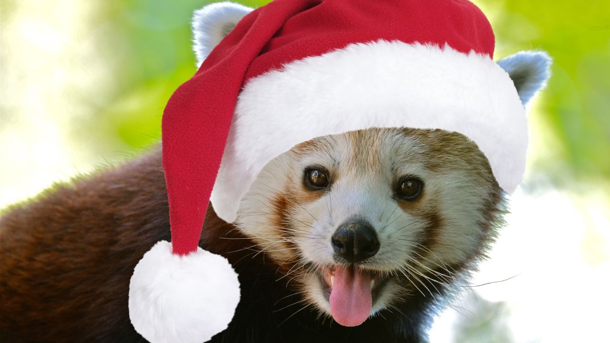 Breakfast with Santa at Zoo Boise