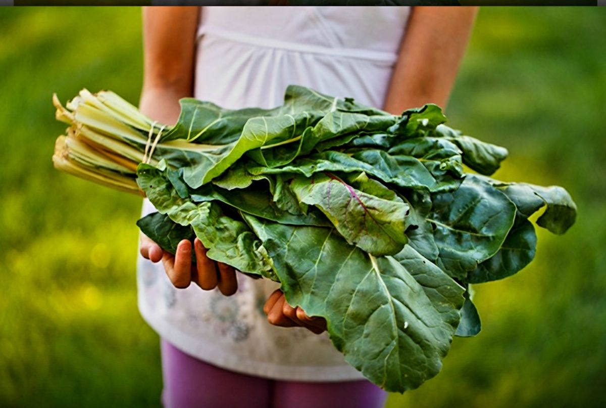 Habersham Farmers Market