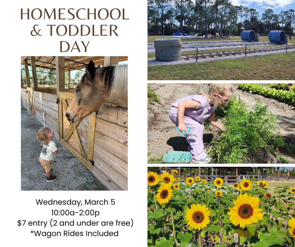 Homeschool & Toddler Day