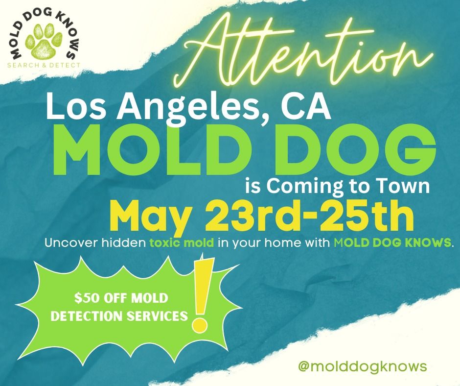 Mold Dog Knows in LA!