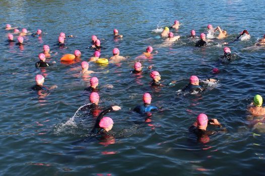 AUCKLAND OPEN WATER CHAMPIONSHIPS - CANCELLED