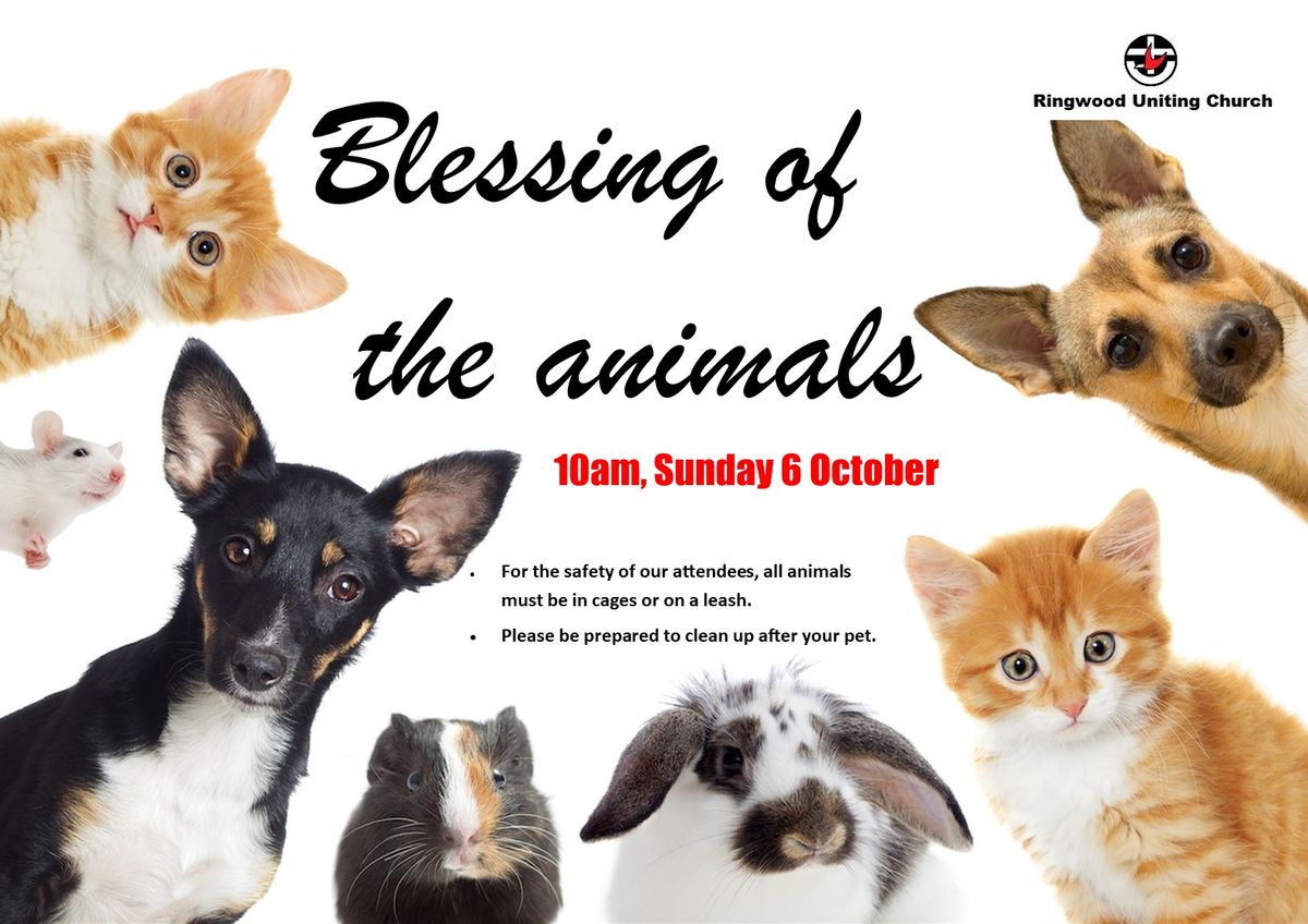 Blessing of the animals