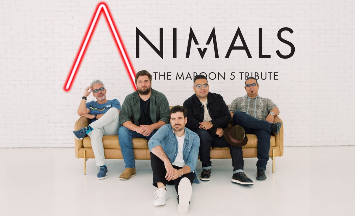 Live! At The District: Animals \u2013 Maroon 5 Cover  