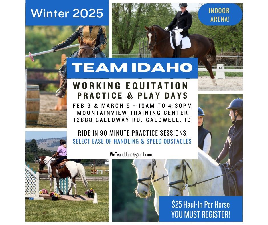 Working Equitation Play Day - March 2025