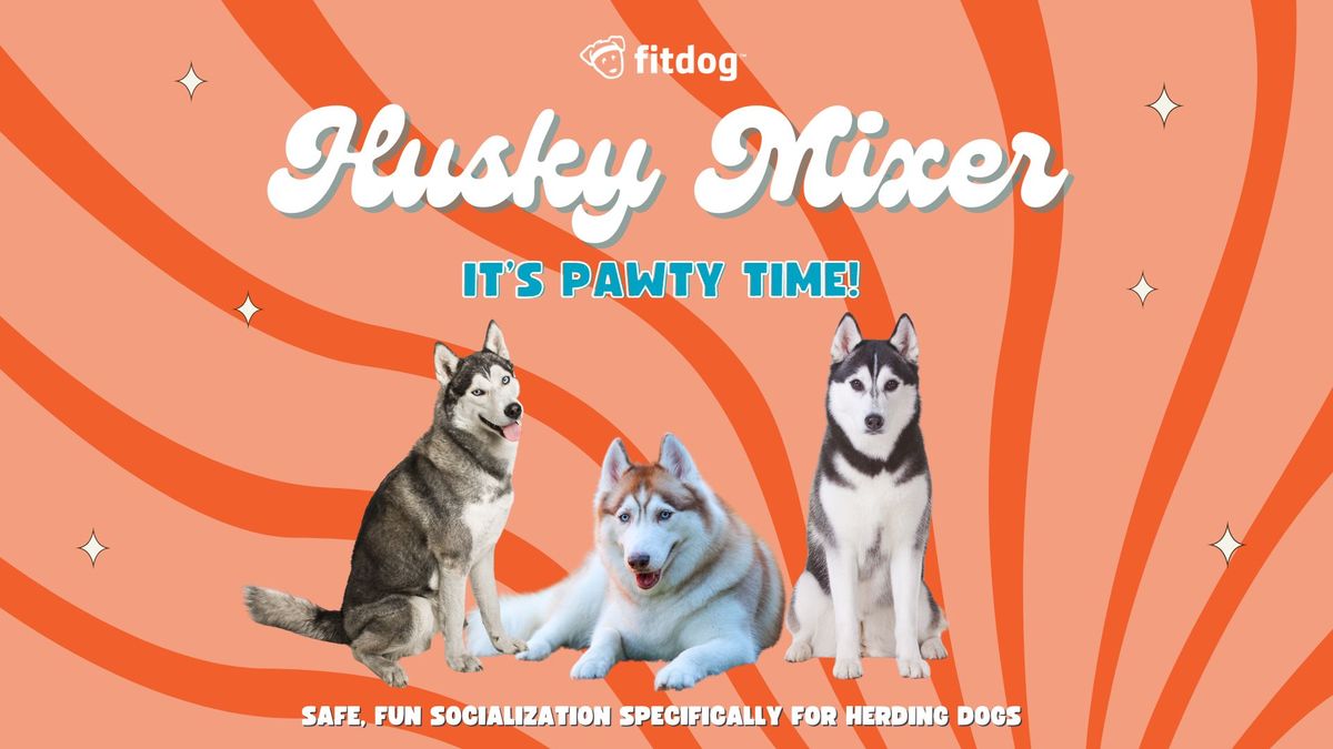 Husky Mixer at Fitdog
