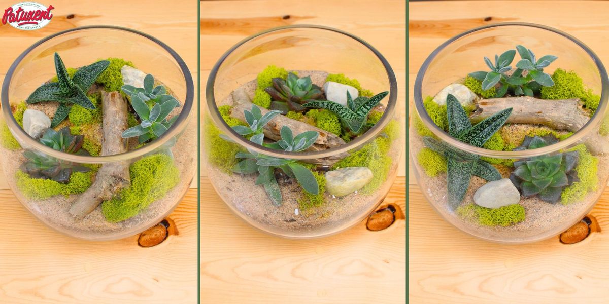 Terrarium Workshop