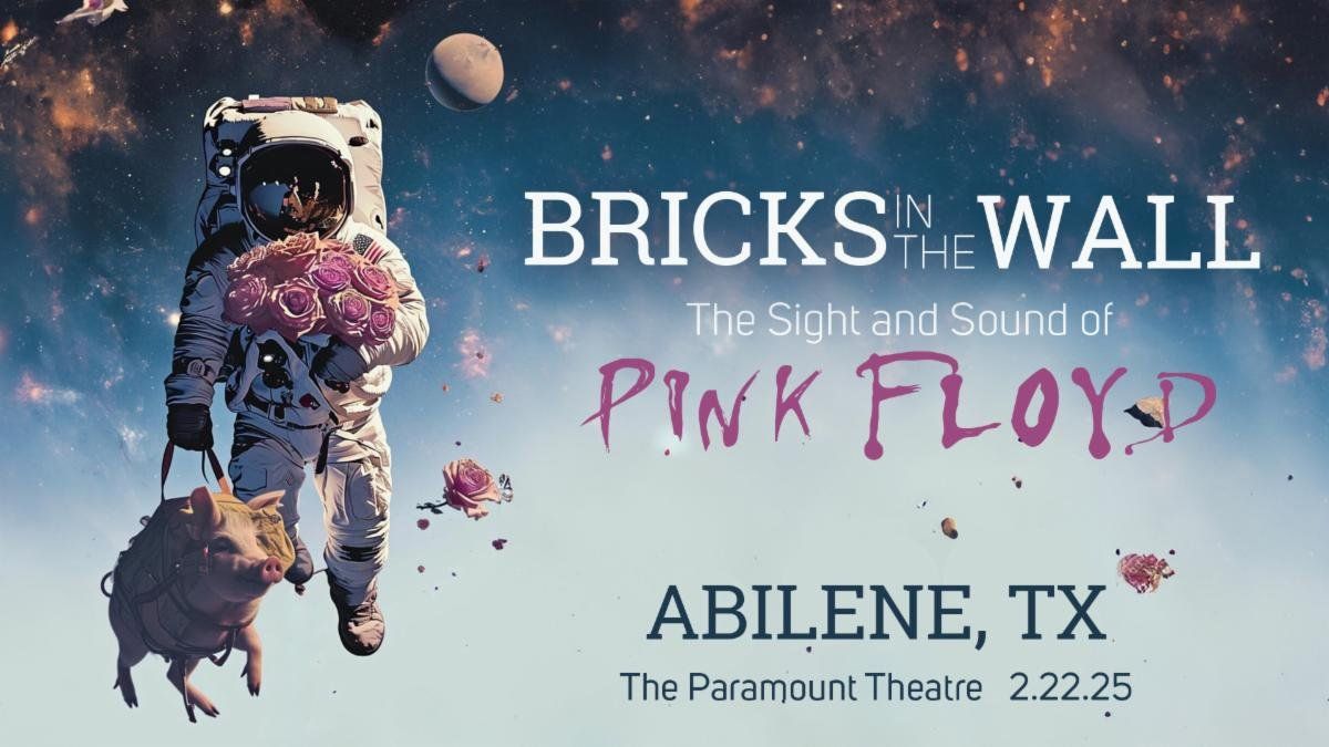 Bricks In The Wall - Pink Floyd Tribute