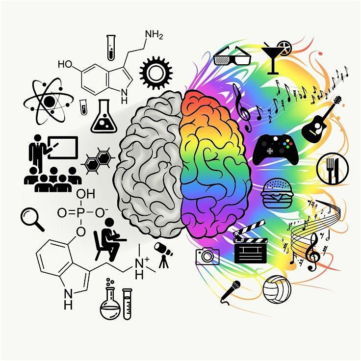 Estilos cognitivos