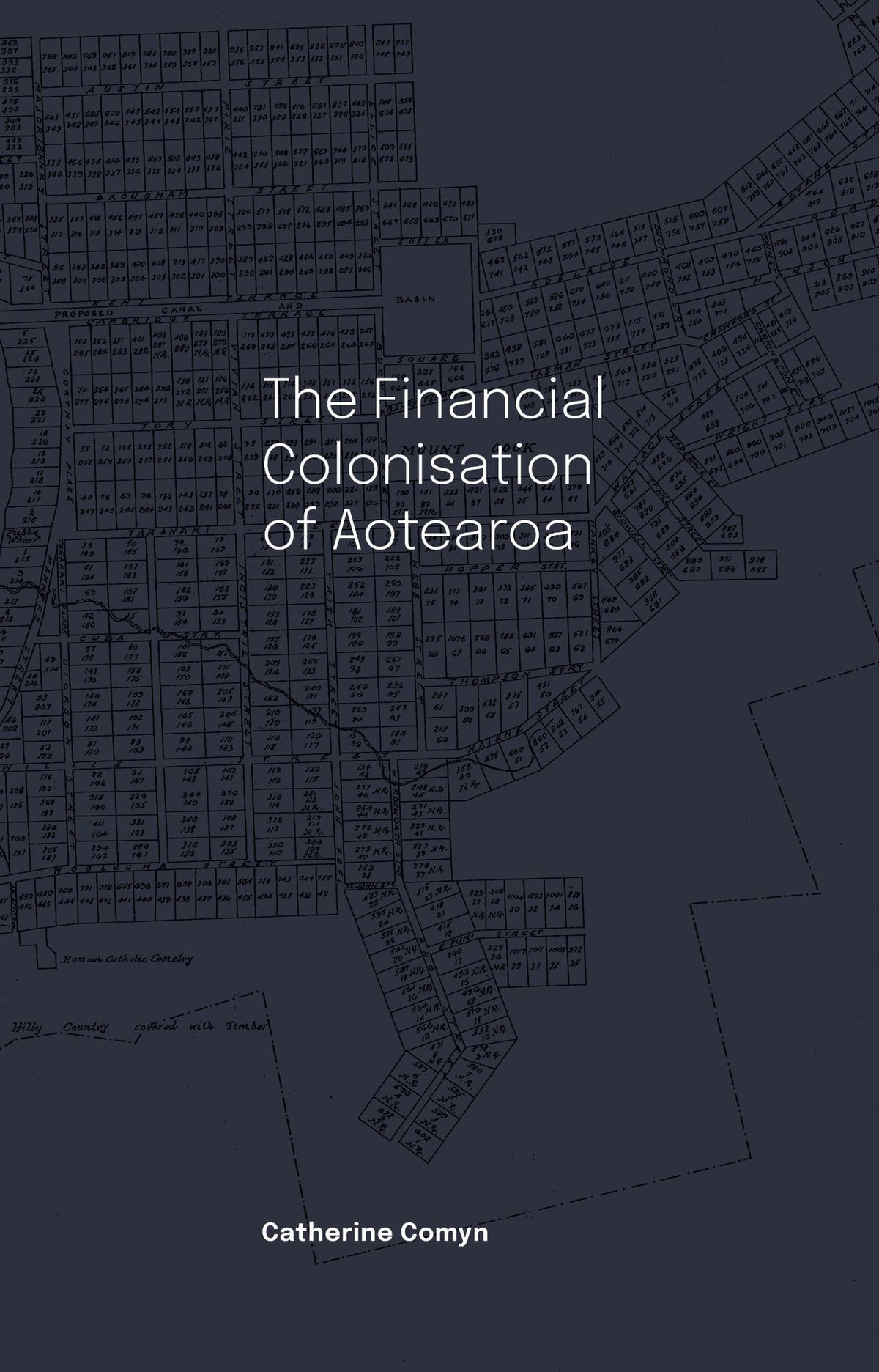 Catherine Comyn's The Financial Colonisation of Aotearoa