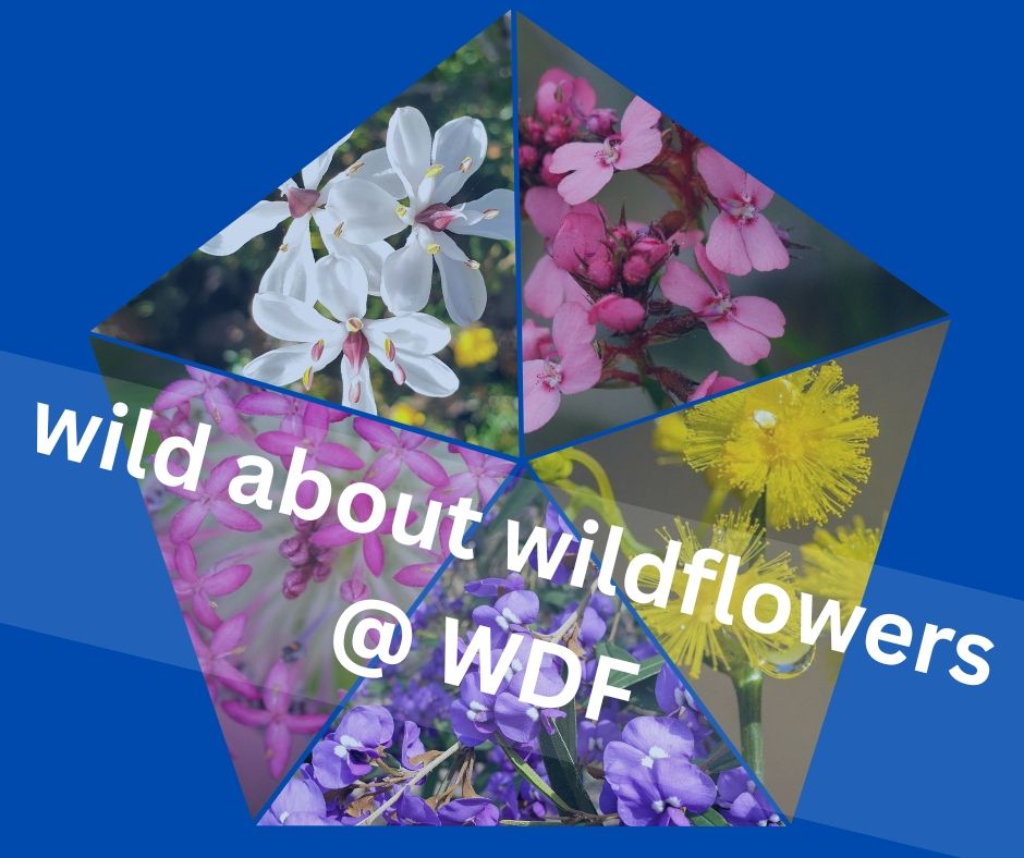 Wild About Wildflowers @ WDF