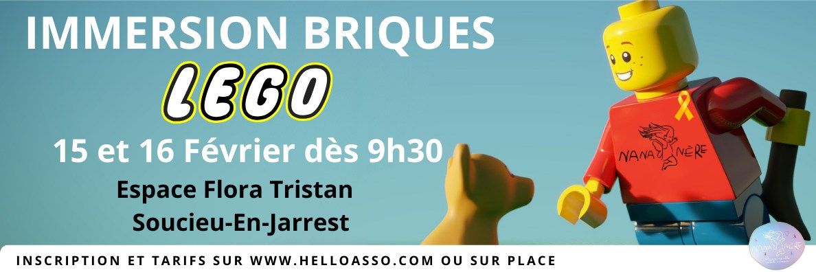 Immersion Briques LEGO