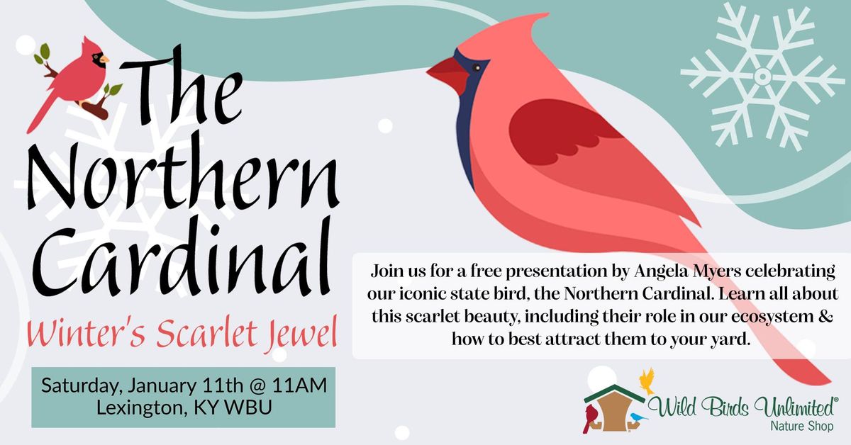 The Northern Cardinal: Winter's Scarlet Jewel