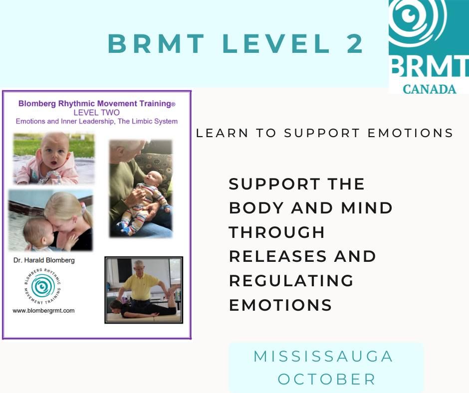 BRMT Level 2 - Emotions and Inner Leadership