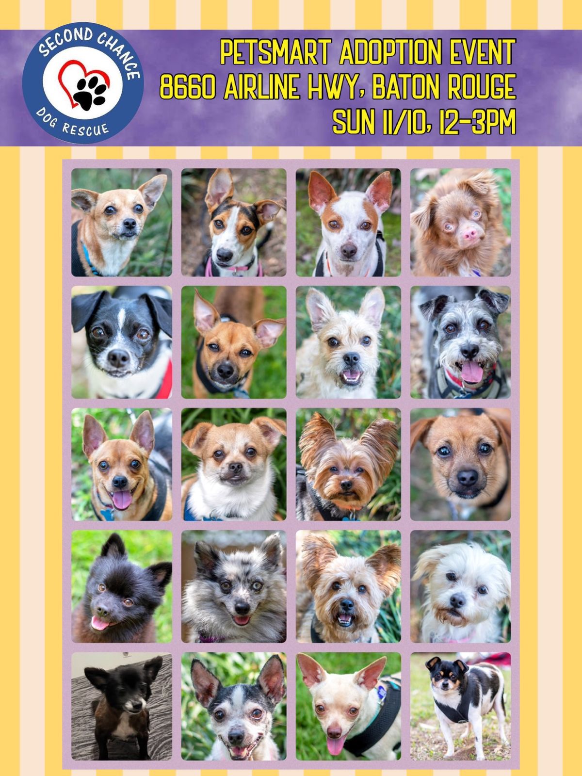 Second Chance Dog Rescue Adoption Event