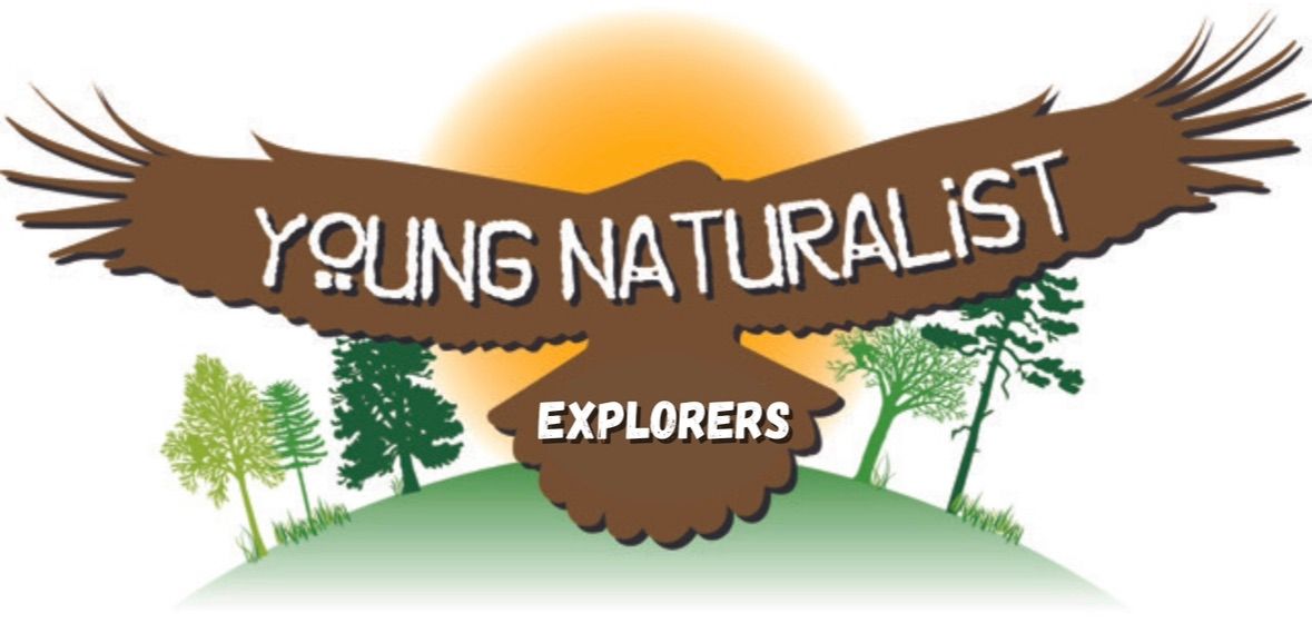 Young Naturalist Explorers: Intro to Birdwatching