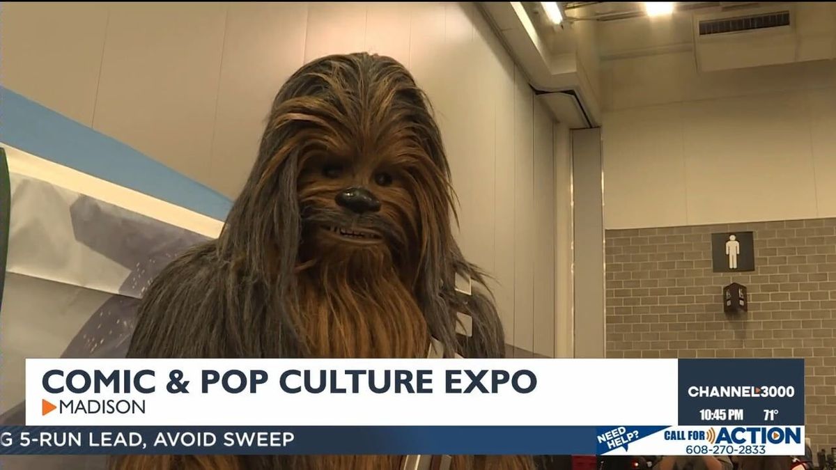 Madison Comic & Pop Culure Expo - Sunday