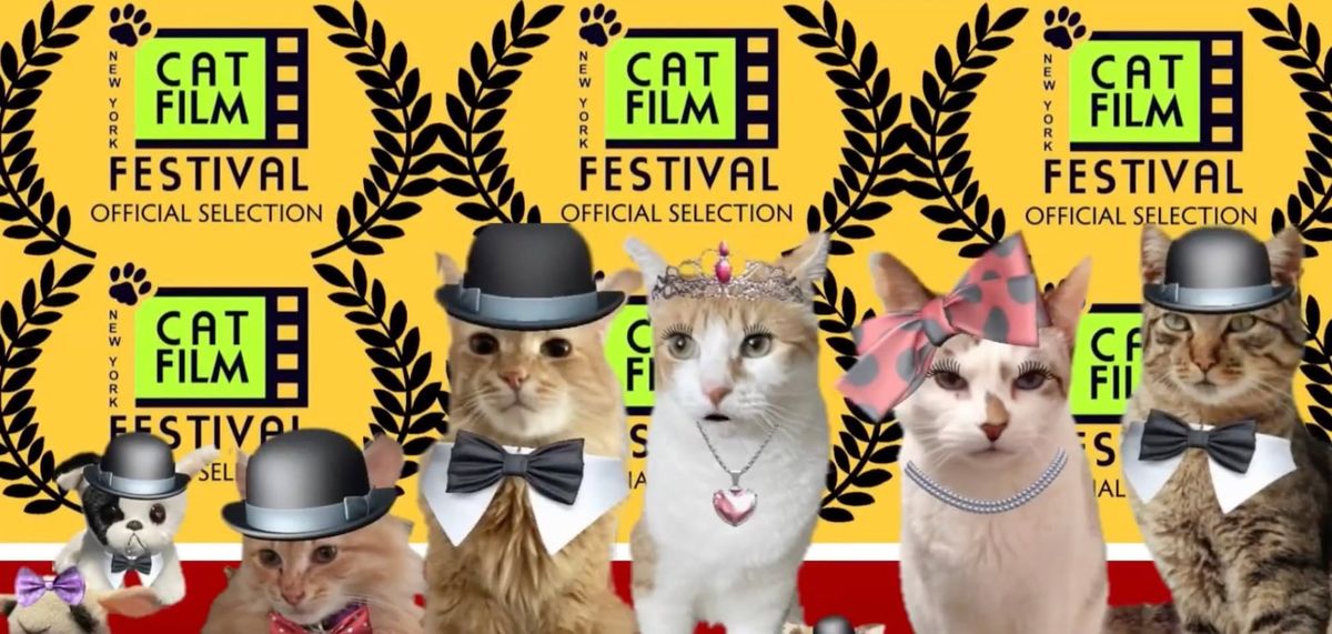 THE NEW YORK CAT FILM FESTIVAL (Touring)