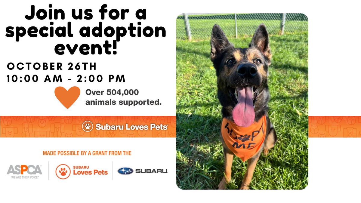 Annual Subaru Loves Pet Adoption Event