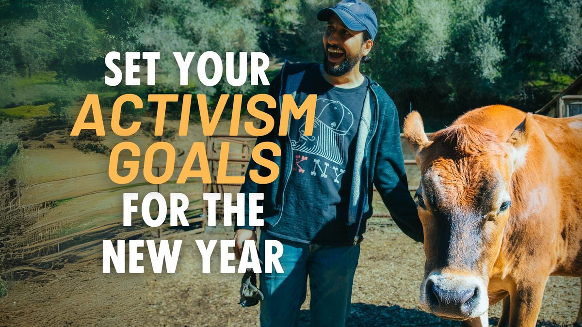 Meetup: Set Your Activism Goals for the New Year!