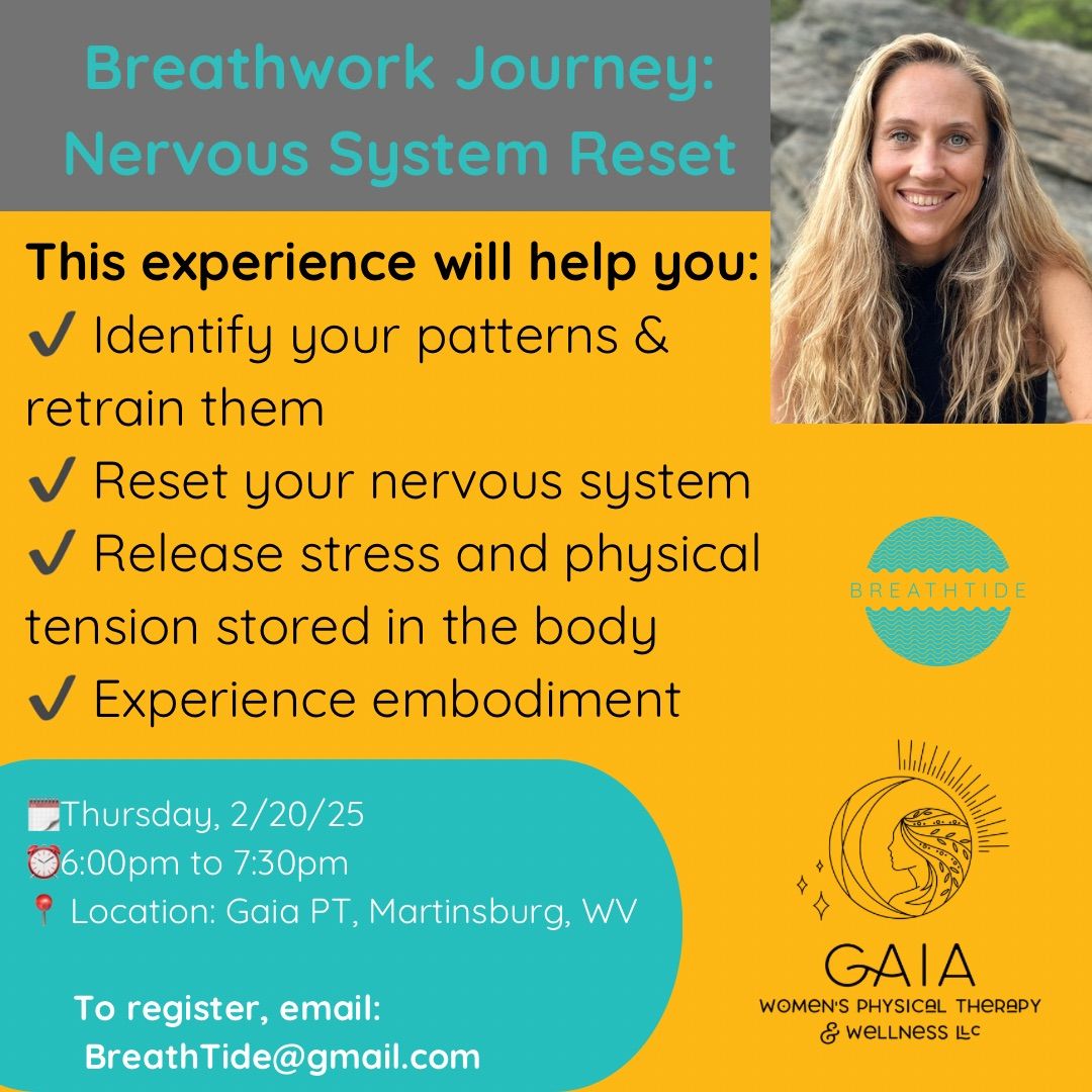 Breathwork Journey: Nervous System Reset