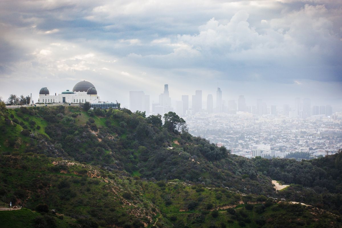 Mt Hollywood 12K | 8K | 5K | Kiddie Trail Run Hike