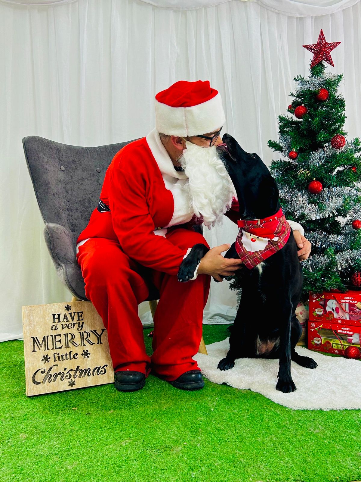 Doggie Santa\u2019s Grotto