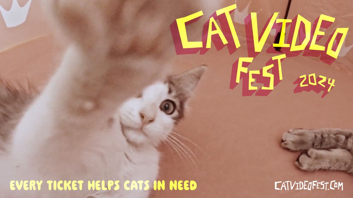 CatVideoFest 2024